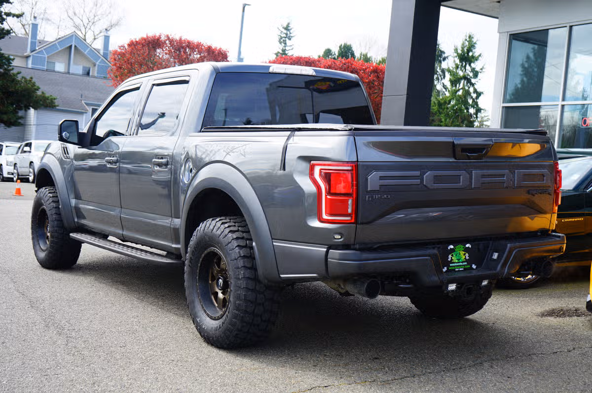 2019 Ford F-150 Raptor SuperCrew Image 3