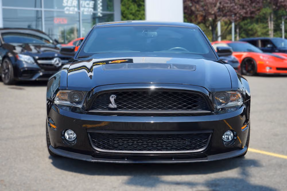 2011 Ford Shelby GT500 Base Shelby Image 8