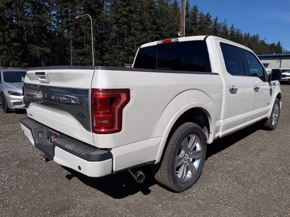 2015 Ford F-150 Platinum SuperCrew Image 8