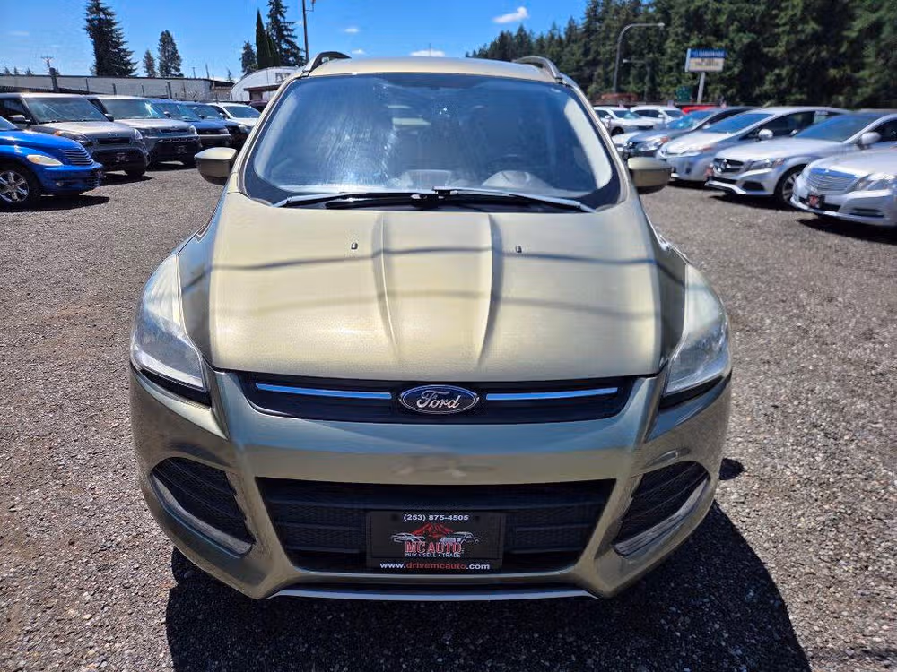 2014 Ford Escape SE Image 3