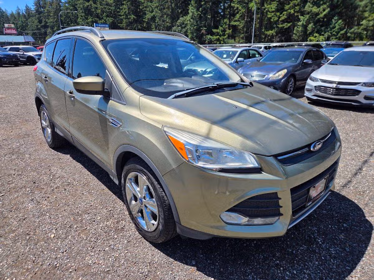 2014 Ford Escape SE Image 2