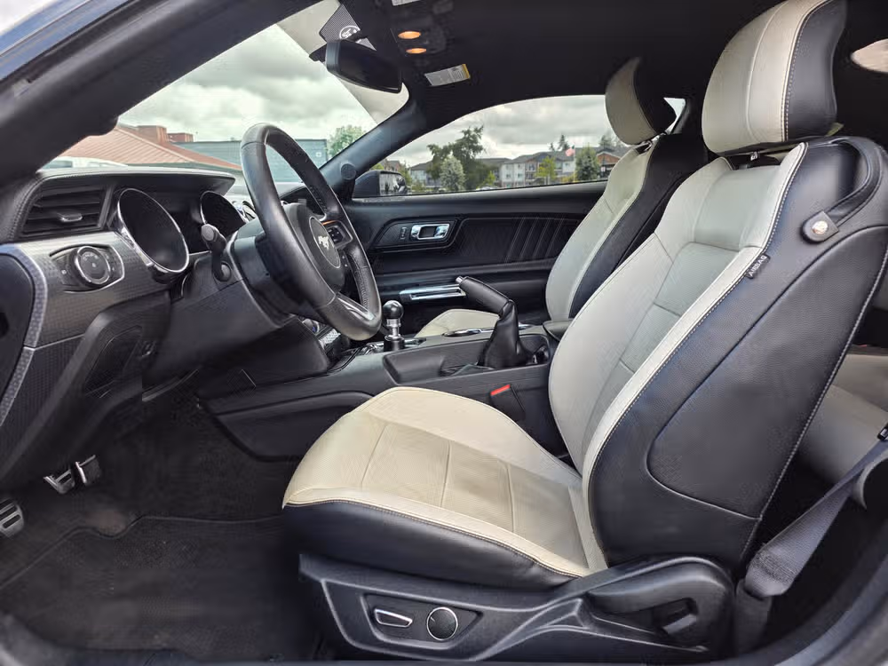 2015 Ford Mustang GT Premium Image 24