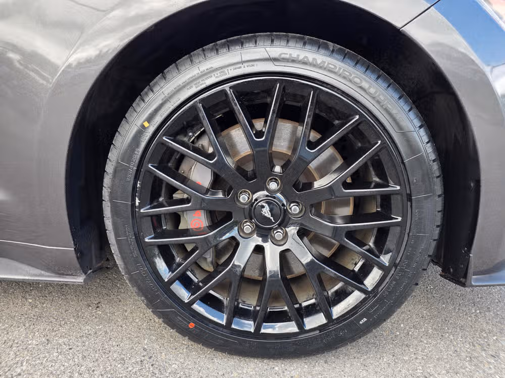 2015 Ford Mustang GT Premium Image 10