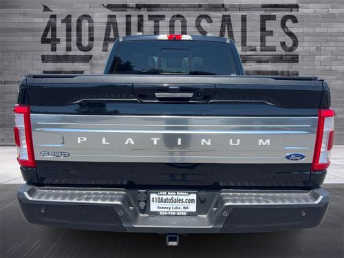 2022 FORD F-150 PLATINUM Lower Image 2